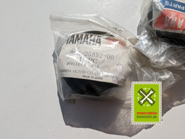 PXL_20240523_152355089